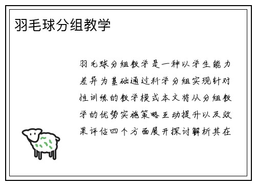 羽毛球分组教学