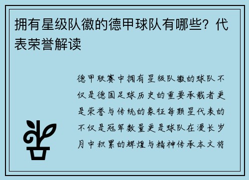 拥有星级队徽的德甲球队有哪些？代表荣誉解读
