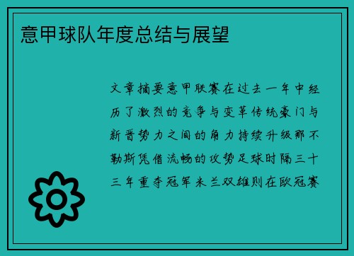 意甲球队年度总结与展望